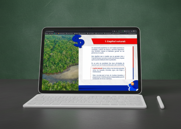 Gemini_Generated_Image_sc2448sc2448sc24